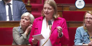 Question de Mme Anne-Laure BLIN - Remise en cause du vote sur les ZFE