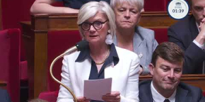 Question de Mme Josiane CORNELOUP - Traitement des plaintes