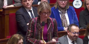 Question de Mme Véronique LOUWAGIE - HME Brass