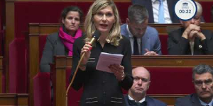 Question de Mme Virginie DUBY-MULLER - Journée mondiale de lutte contre les violences